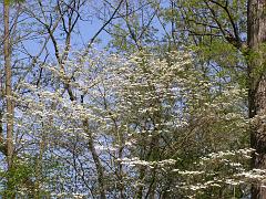 april2609 (47)